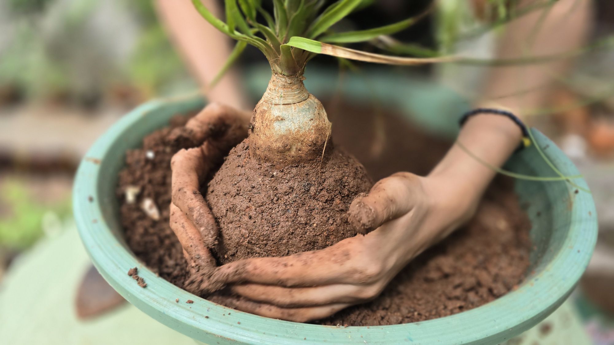 Mayo en Estación Viva: Nuevos brotes, talleres y luz natural